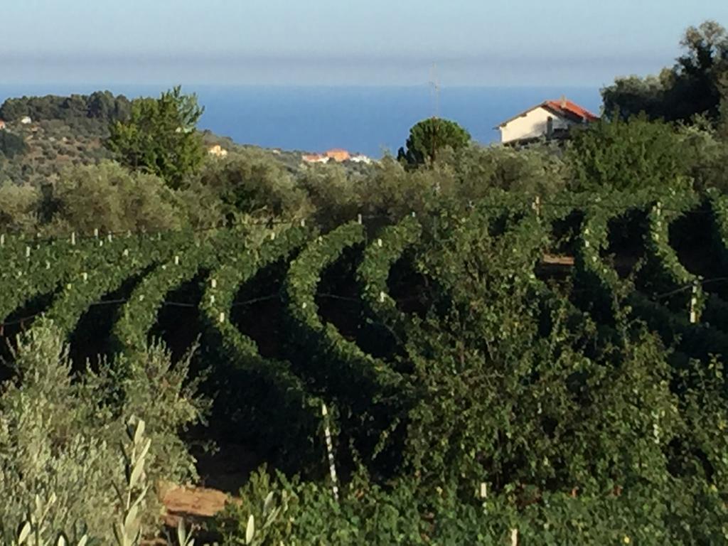 Agriturismo Ada Musso Ss Diano Borello Zewnętrze zdjęcie
