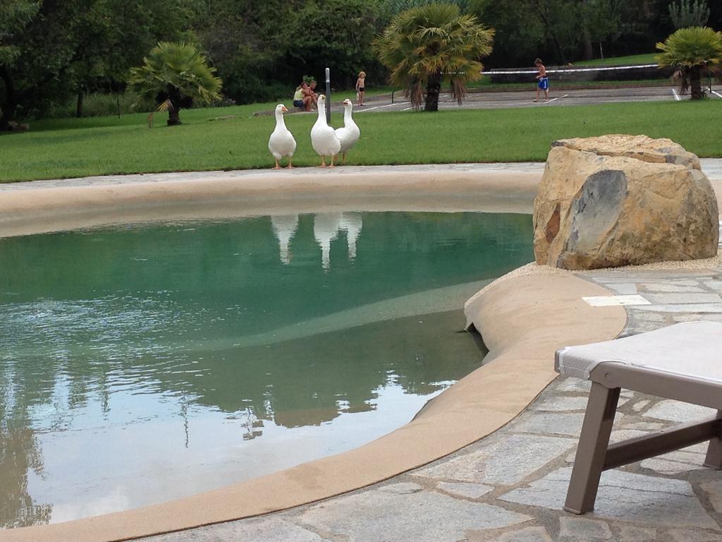 Agriturismo Ada Musso Ss Diano Borello Zewnętrze zdjęcie