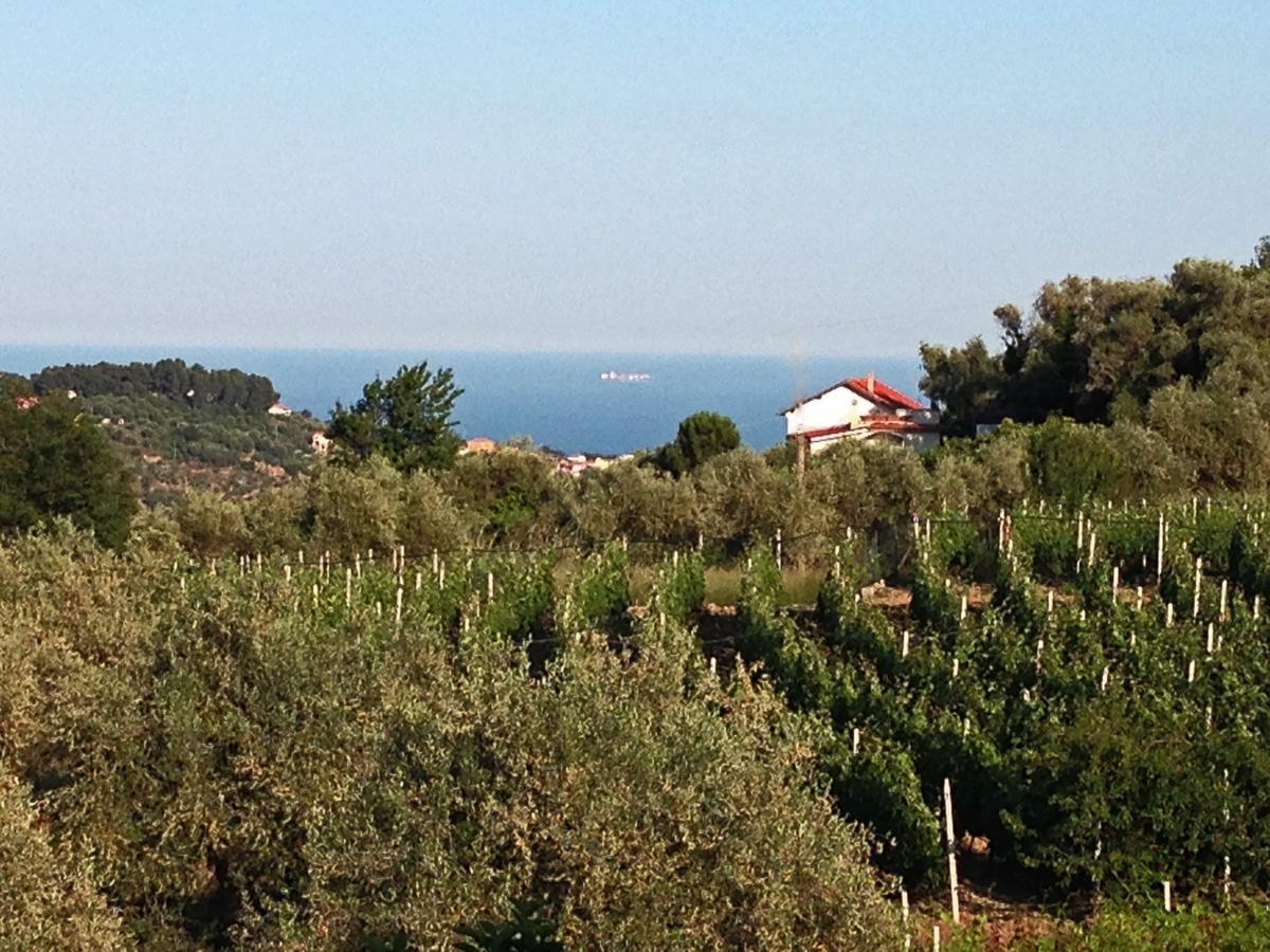 Agriturismo Ada Musso Ss Diano Borello Pokój zdjęcie