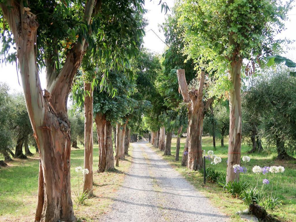 Agriturismo Ada Musso Ss Diano Borello Zewnętrze zdjęcie